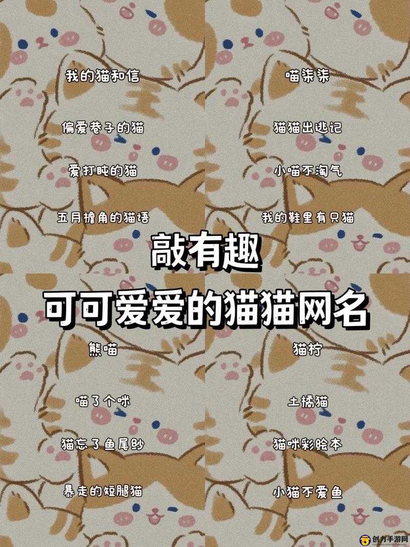 新版猫咪地域网名相关：独特魅力尽显的奇妙网络世界之旅